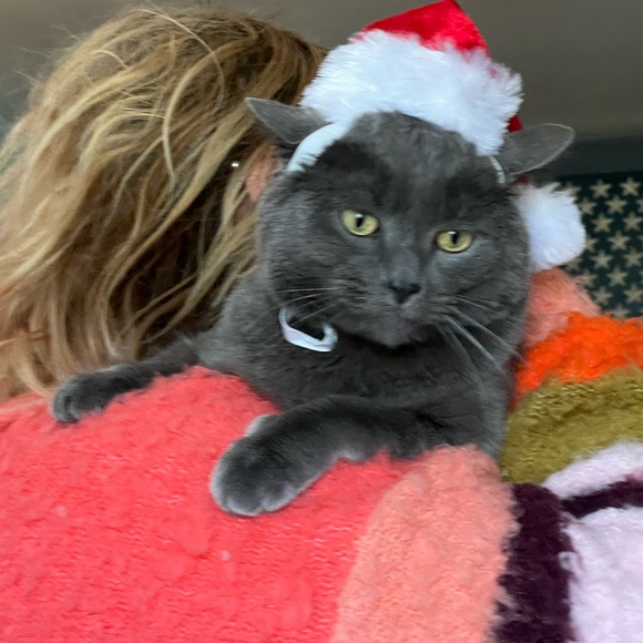 Hi! It’s Me, Kylo! - Picture 6 of 8